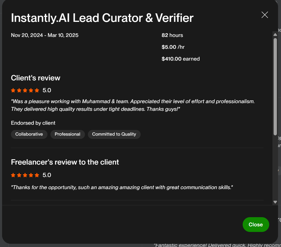 Five-star client review for an Instantly AI lead curation project